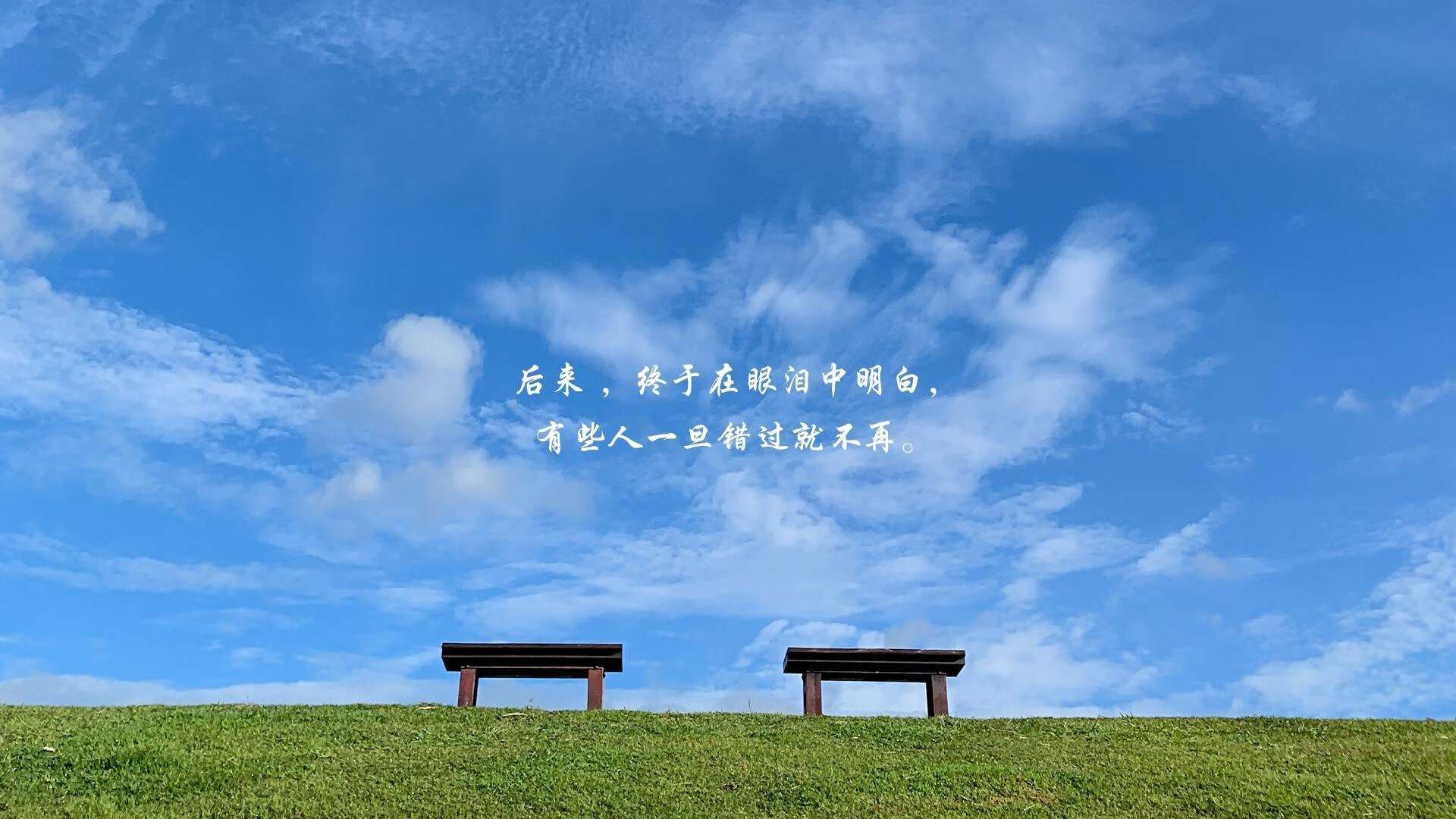 《玩家热议：最具人气的英雄或角色是谁？》，游戏人气角色排名