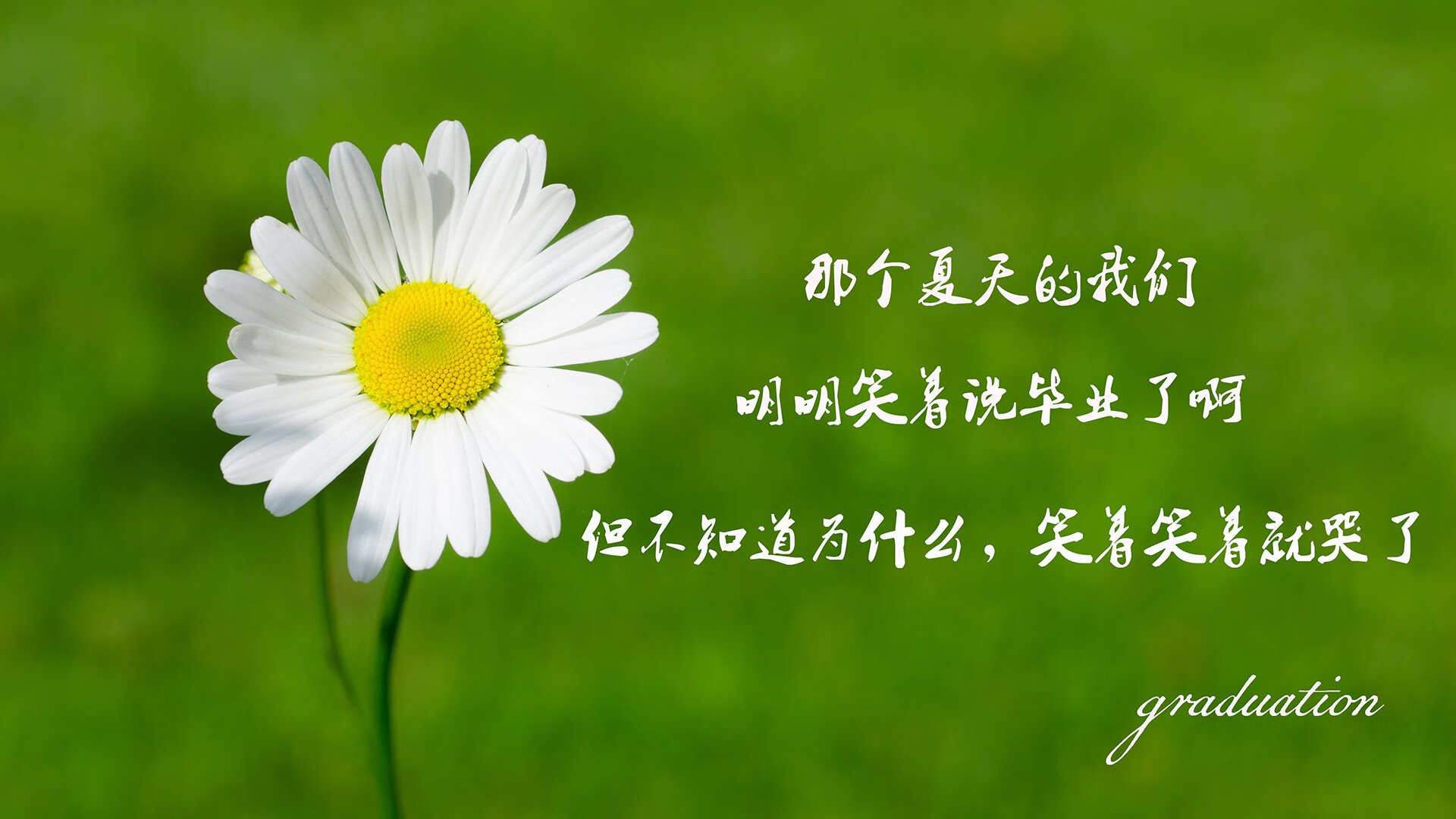 女子双打激战正酣，东风队逆转夺冠