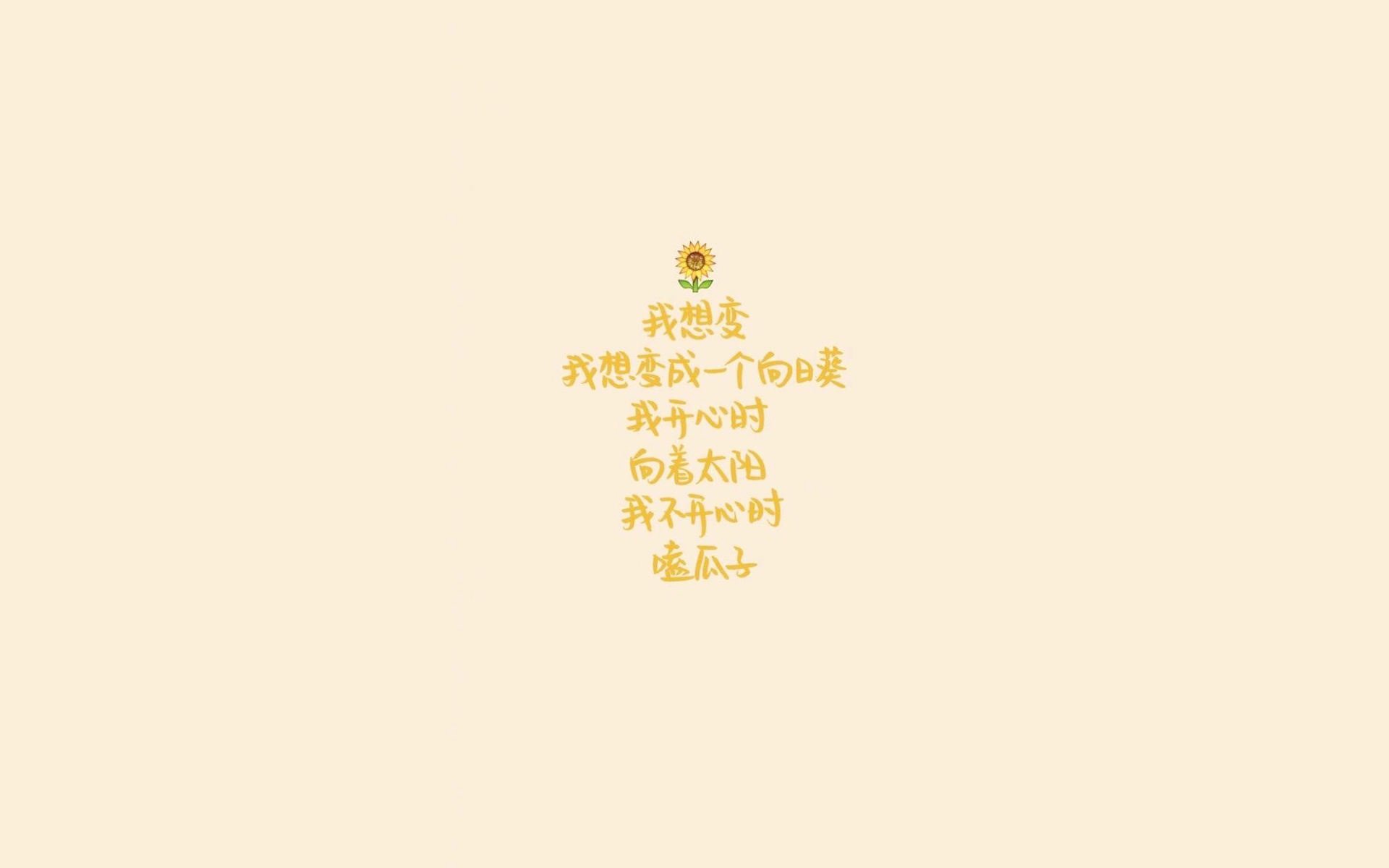 足球风云再起，女子球员再创辉煌，足球女士