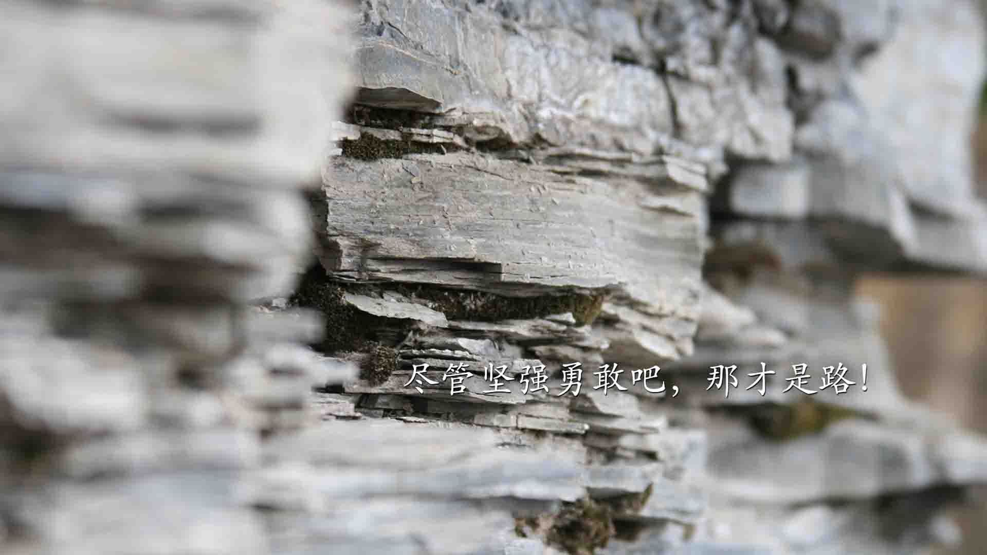 中国篮球职业联赛裁判员执法水平提升及培训体系，中国篮球协会裁判员等级证书怎么考