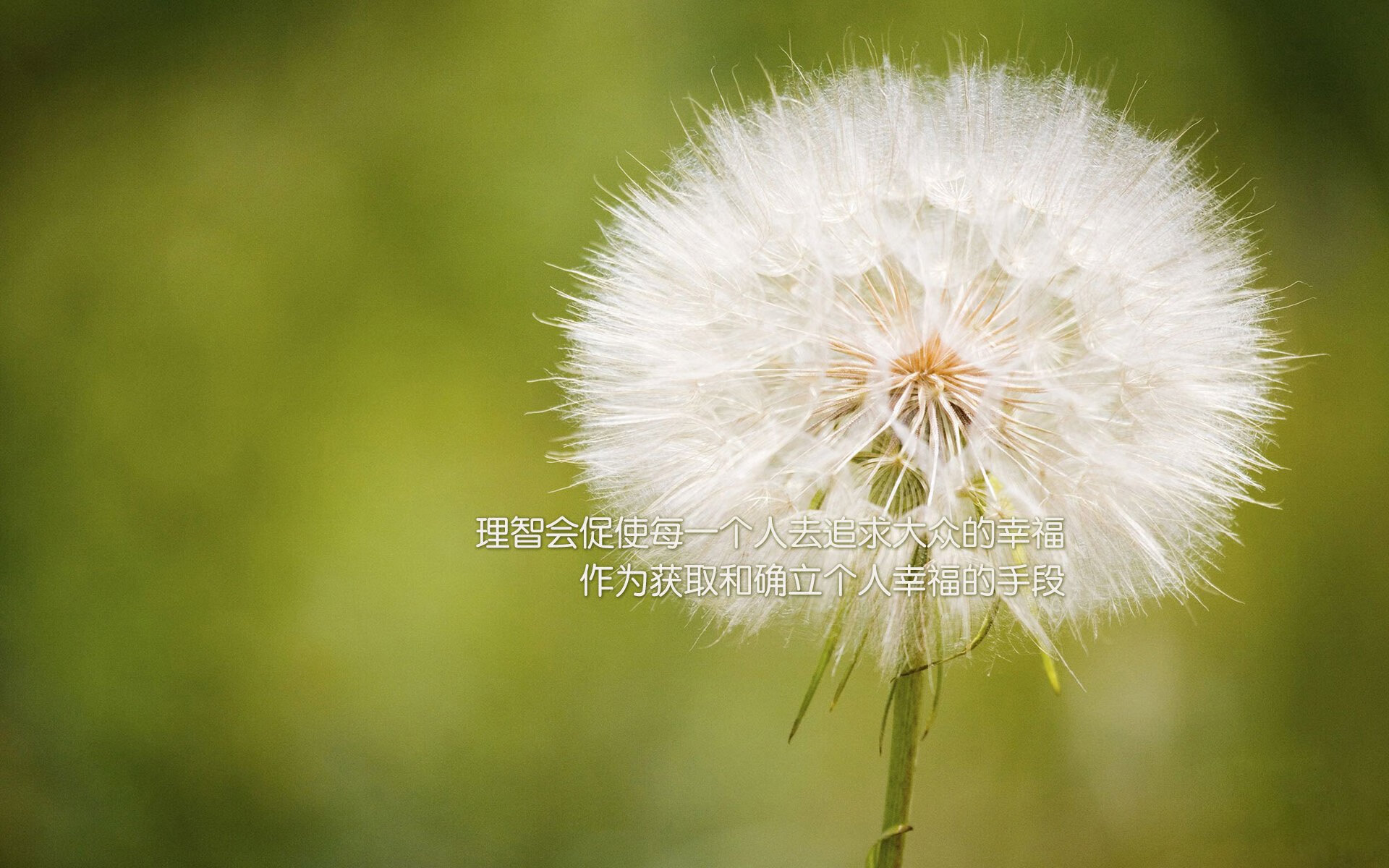200蝶划频与划幅配合解析，划幅和划频