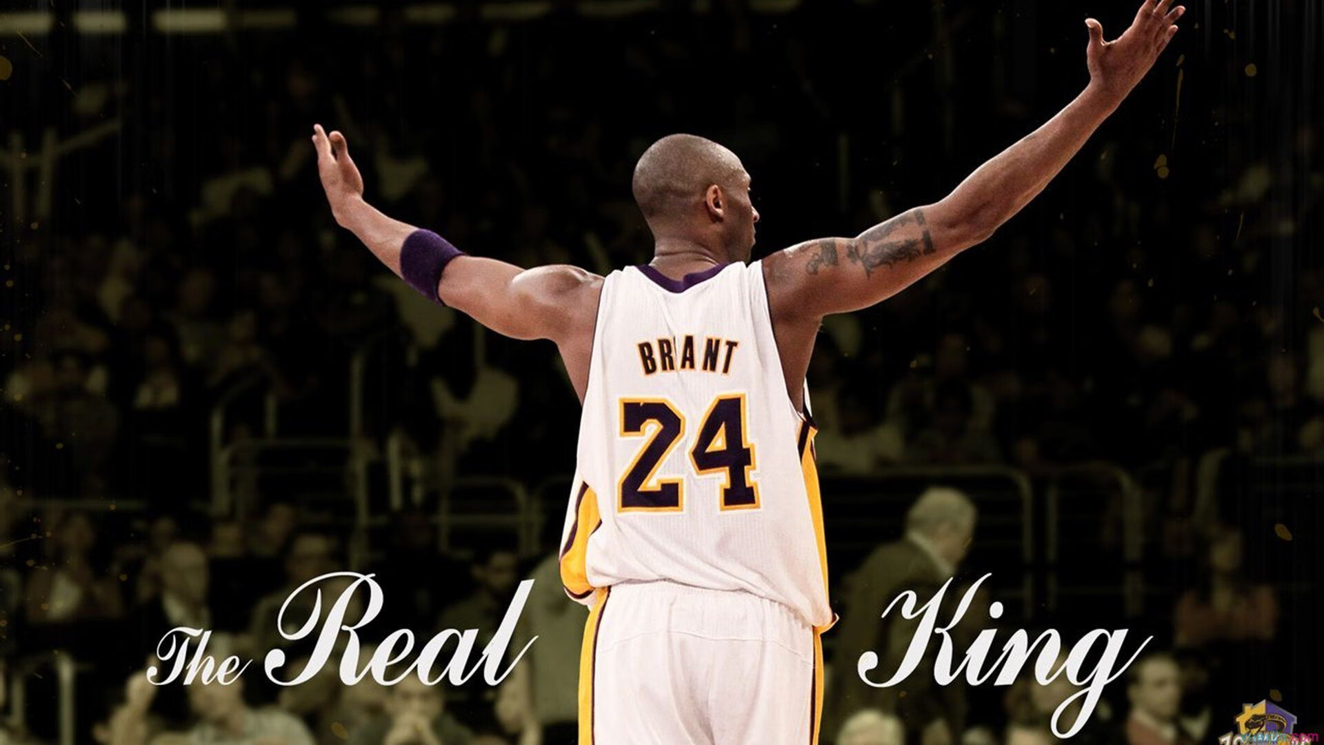 西部冠军争夺激烈，各队拼尽全力，西部冠军是谁